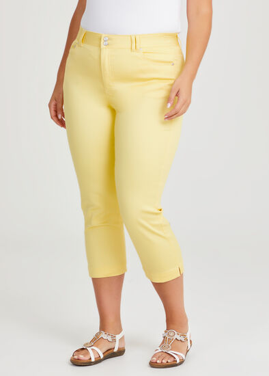 The Crop Luxe Looker,  Plus Size The Crop Luxe Looker